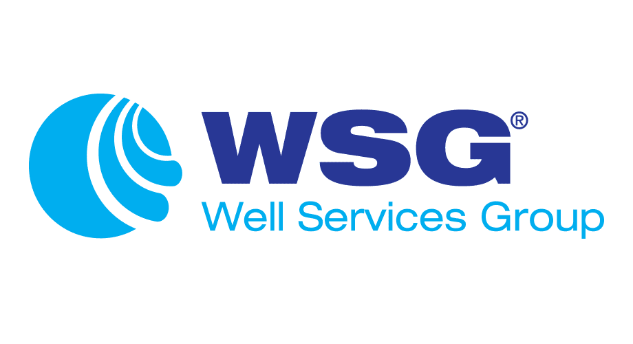 The WSG Well Services Group logo with a blue abstract globe design to the left of the company name in blue text on a white background.